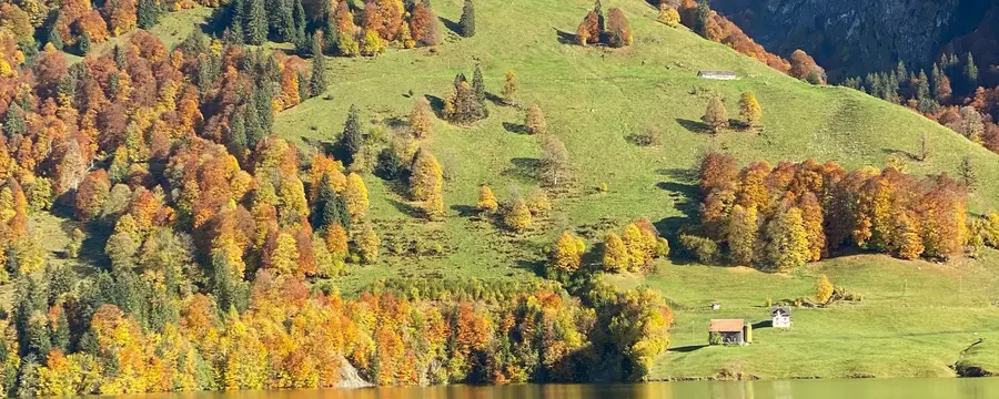 Herbst am Bergsee